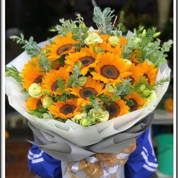 Bright Sunshine - HB566