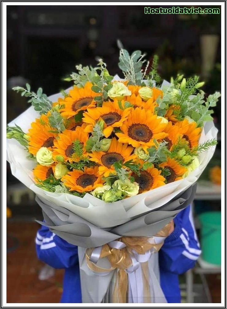 Bright Sunshine - HB566