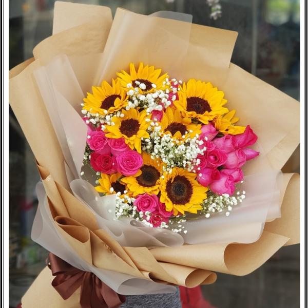 Ánh mặt trời - HB562