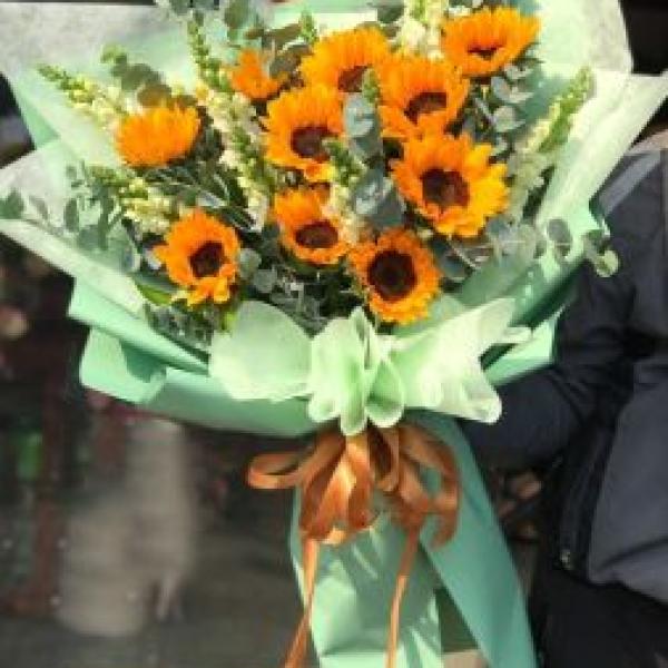 Bó Hoa Hướng Dương Chúc Mừng HBR505 - Hy Vọng