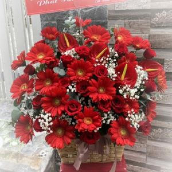 Giỏ hoa đồng tiền BNG577