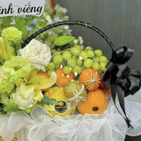 HG086 - Thành Công