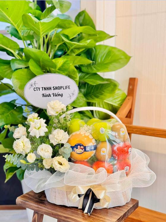 HG103 - Chúc Mừng Ngày Lễ