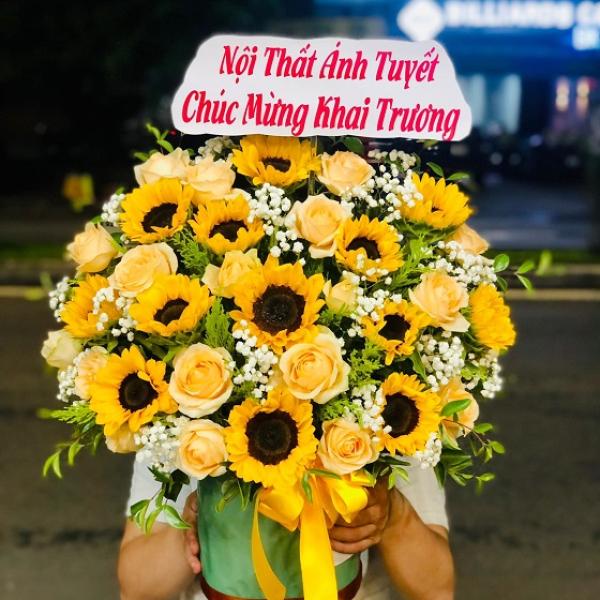 HG3 - Chúc Mừng Ngày Lễ