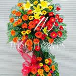 Victorious Smile K475