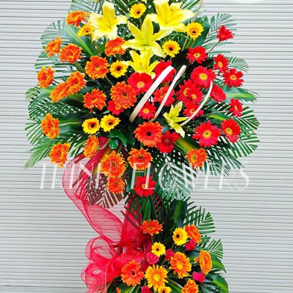 Victorious Smile K475