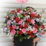 Lãng hoa chúc mừng sinh nhật BNG573