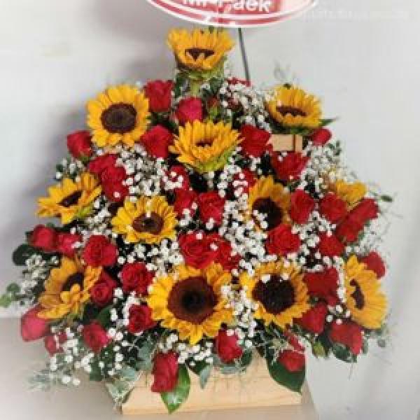 Lẵng hoa hướng dương đẹp BNG555