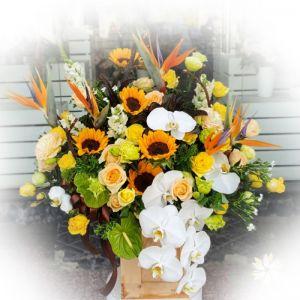 Lãng hoa mừng khai trương BNG572