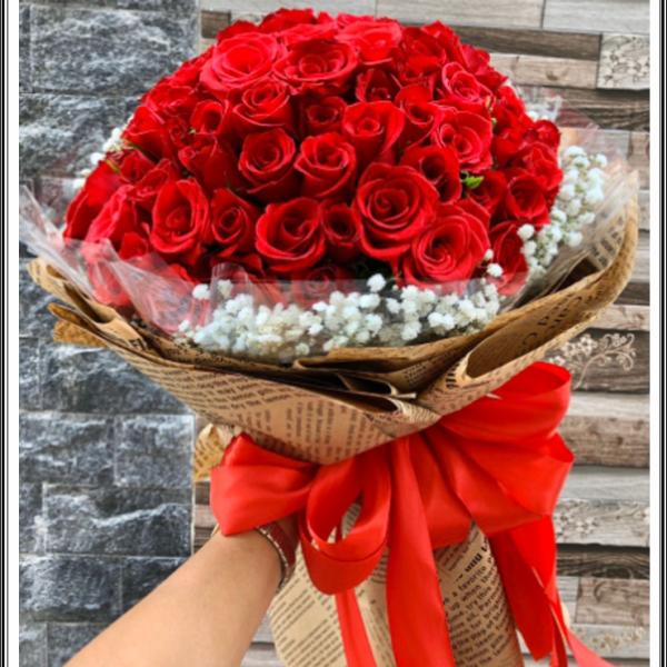 Yêu lại từ đầu - HB569